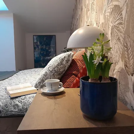 Old Town Premium Kazimierz - Synagogue View * Краков